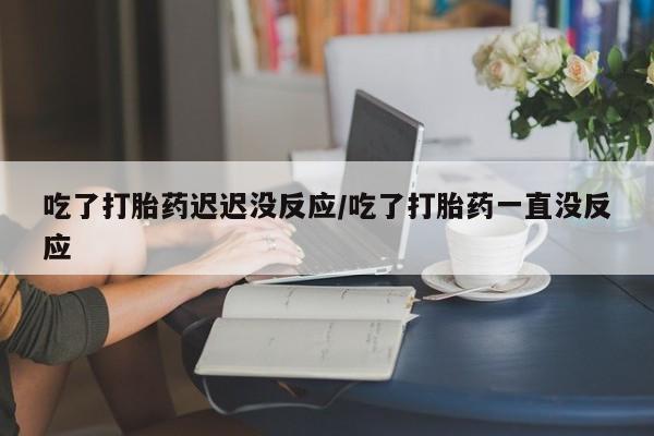米非米索联系方式吃了打胎药迟迟没反应/吃了打胎药一直没反应